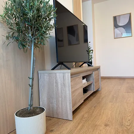 Bloom Olive * Trenčín