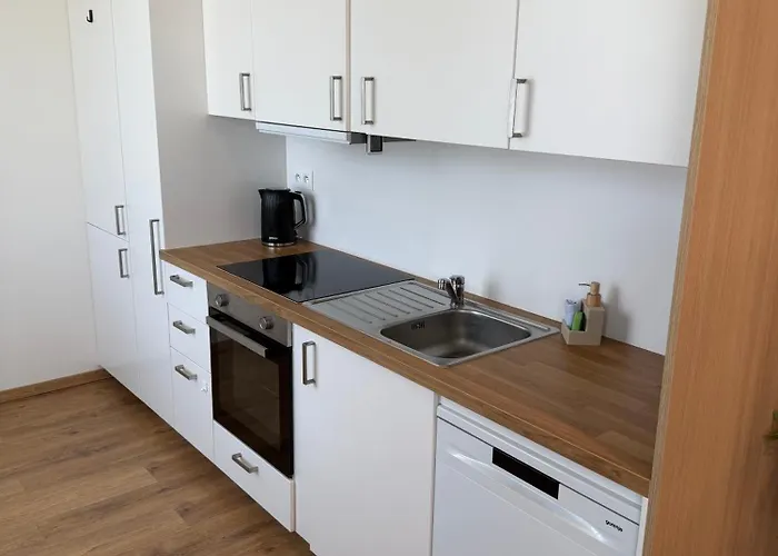 Bloom Olive Trencin